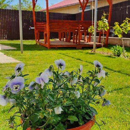 Casa Caraua Villa Greci Eksteriør billede